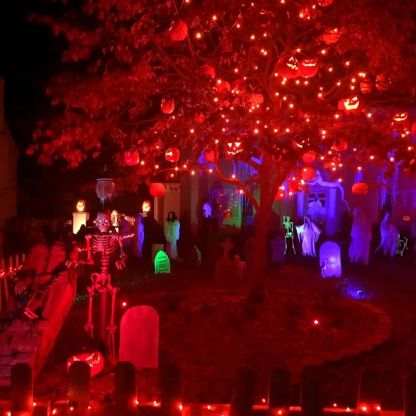 100 LED Solar Fairy String Lights-Sparklie Lights