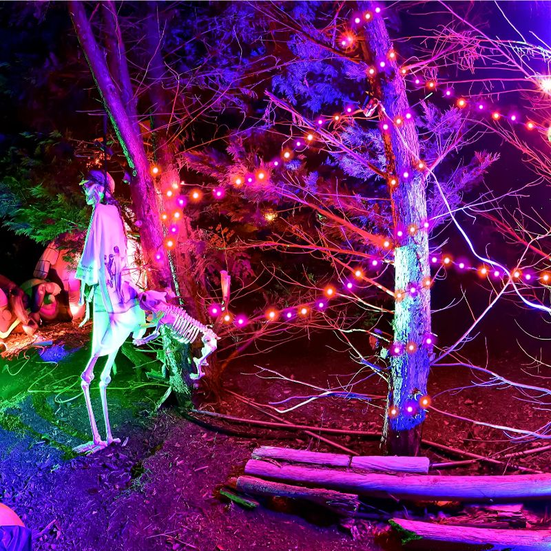 Decorative 100 LED Solar Fairy Lights-Sparklie Lights