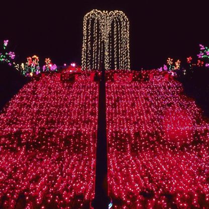 2 Pack Outdoor Decorative Fairy LED Lights-Sparklie Lights