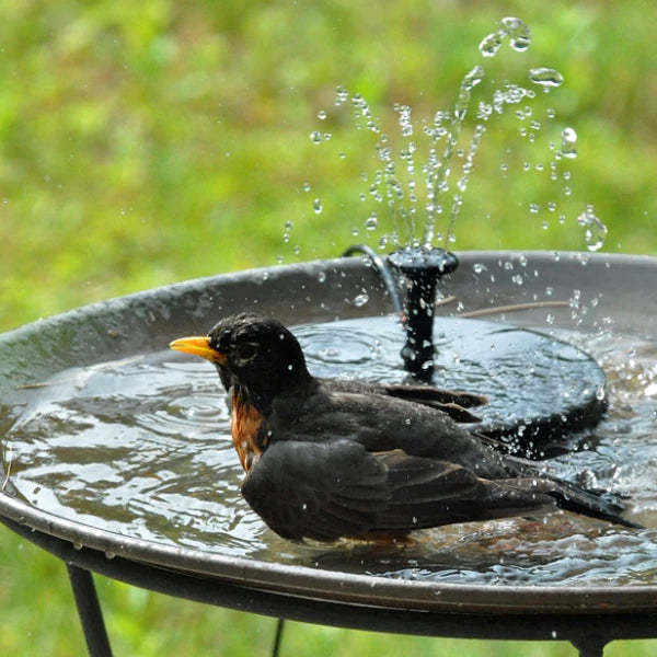 Solar Powered Fountain Pump-Sparklie Lights