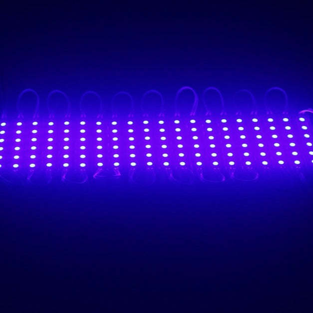 The 5050 SMD Waterproof 6 LEDs Module-Sparklie Lights