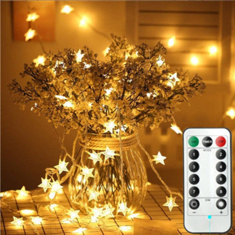 The Warm White Fairy String Lights-Sparklie Lights