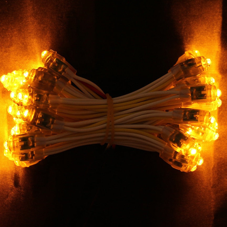 The 9mm LED Pixel String Modules-Sparklie Lights