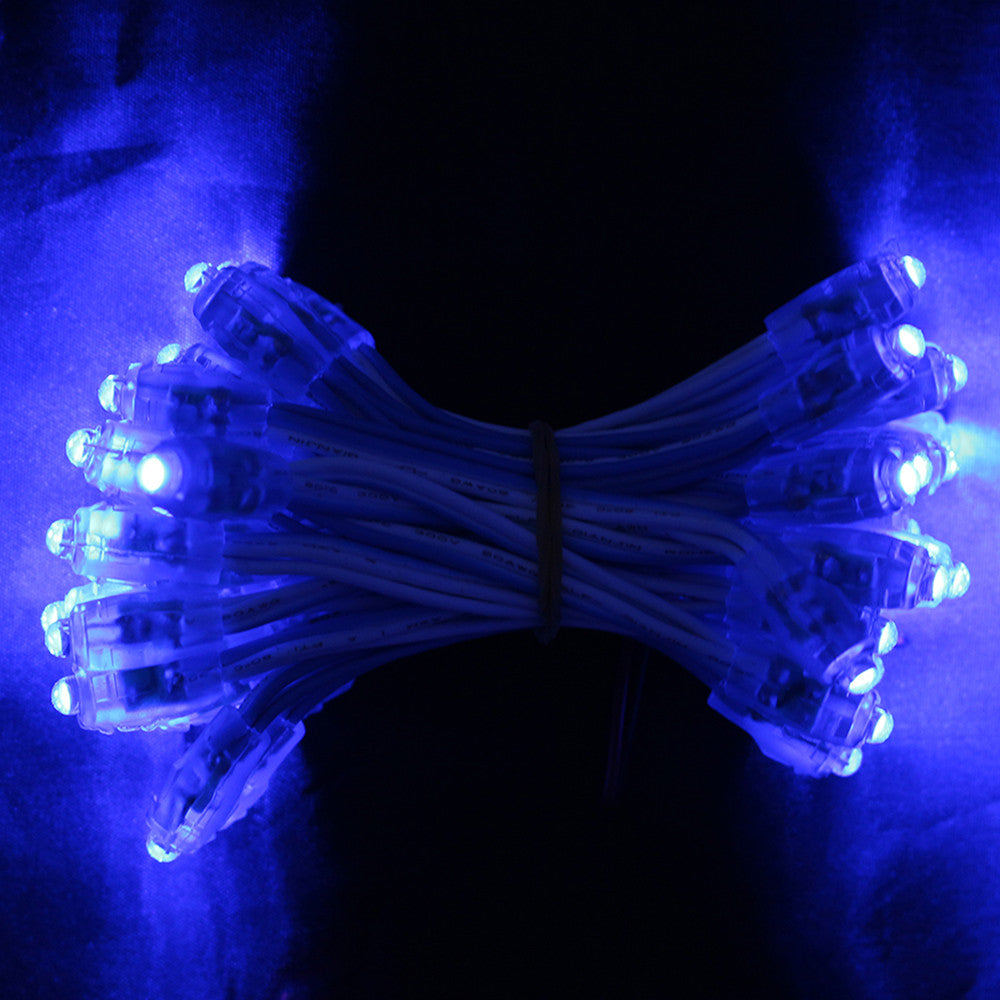 The 9mm LED Pixel String Modules-Sparklie Lights
