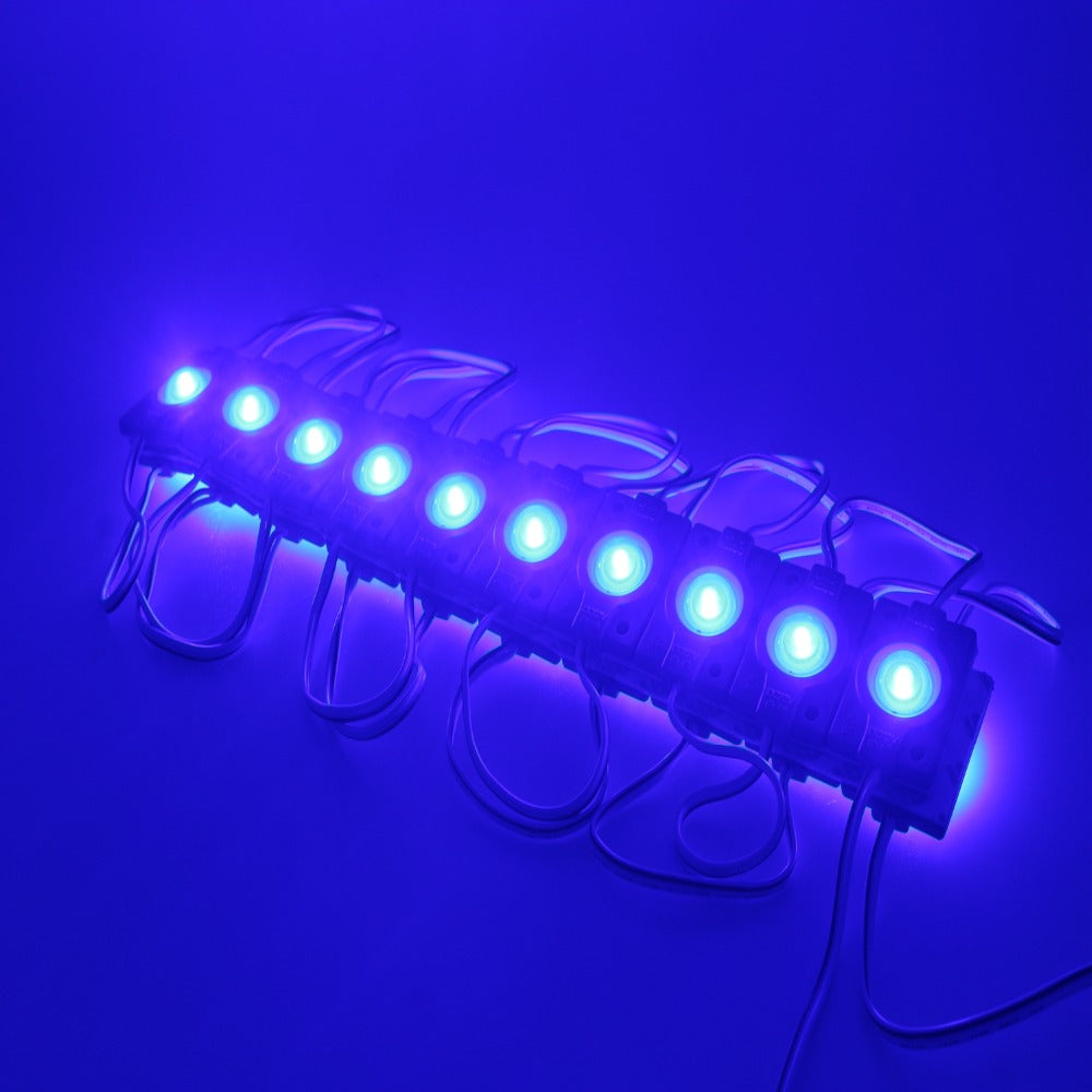 The 12V 3030 SMD LED Modules-Sparklie Lights