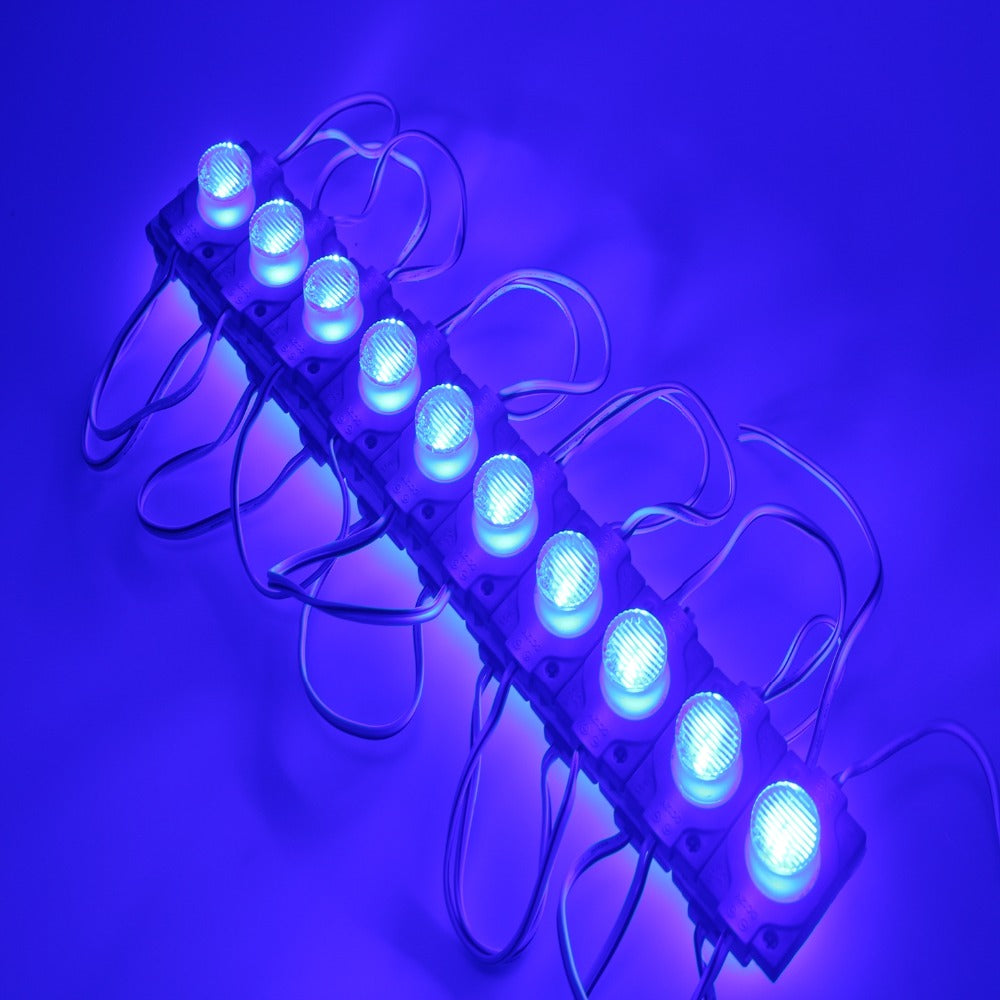 The 12V 5050 SMD 10 LED Module-Sparklie Lights