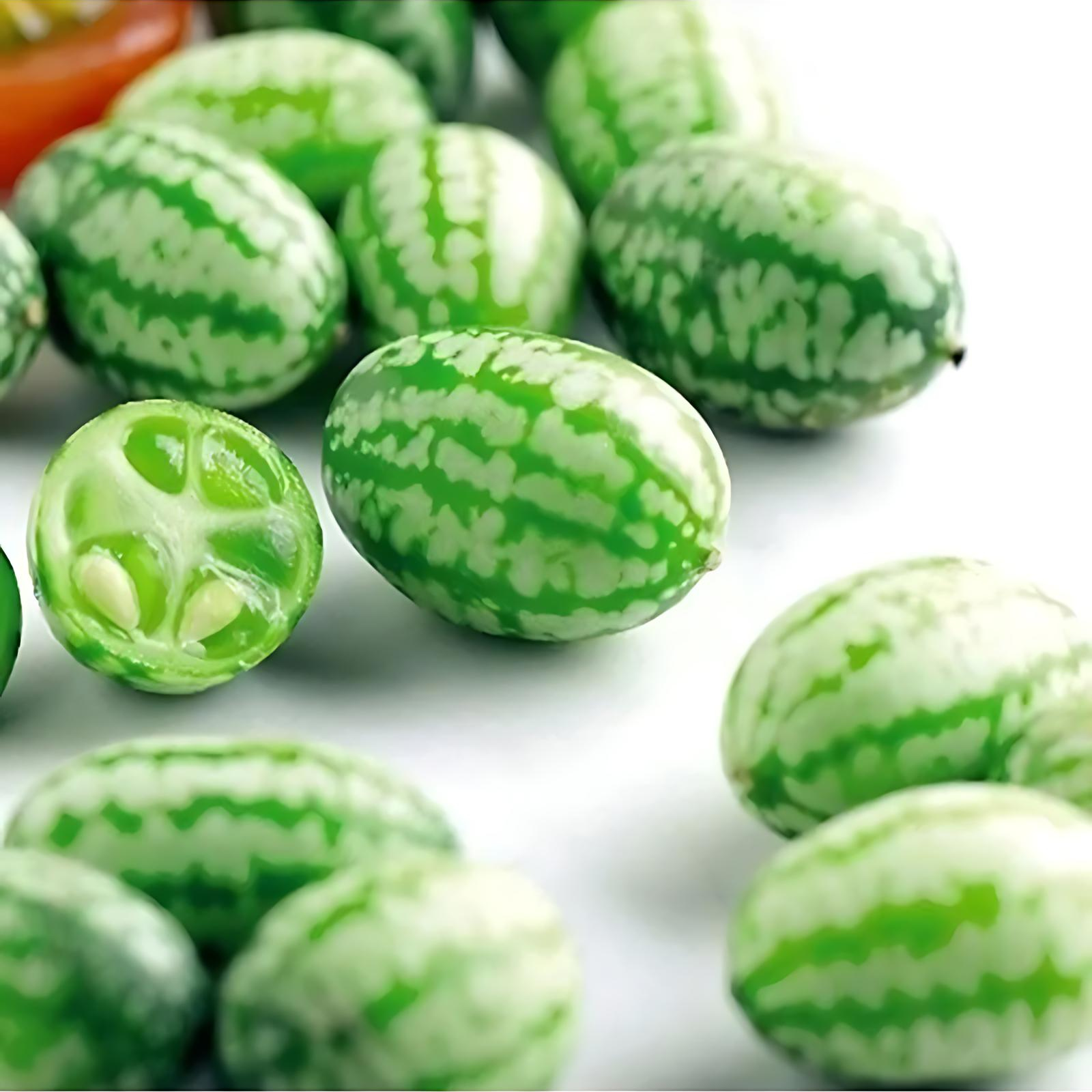 RARE SEEDS THUMB WATERMELON SEEDS