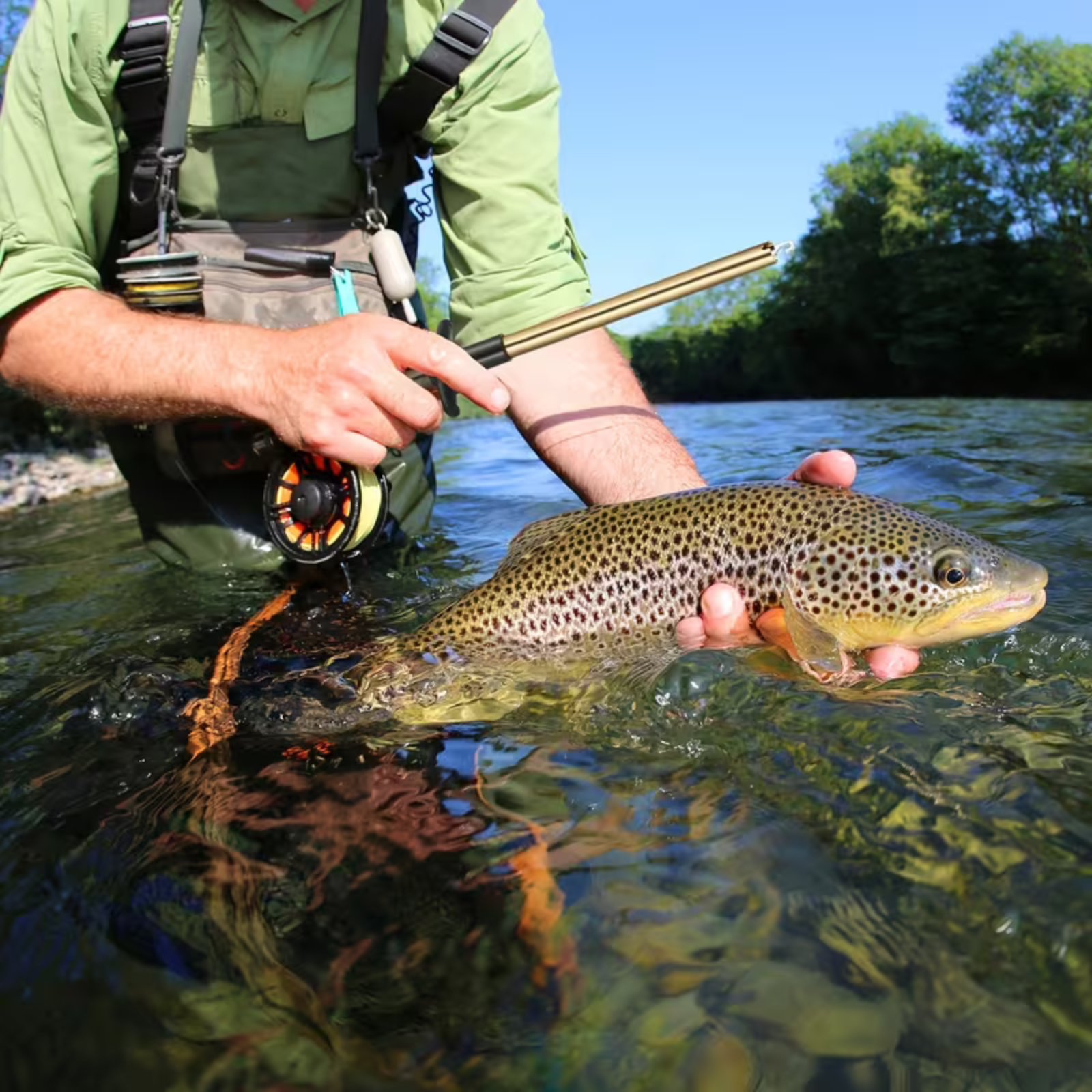 Aluminum Alloy T Shaped Fish Hook Remover