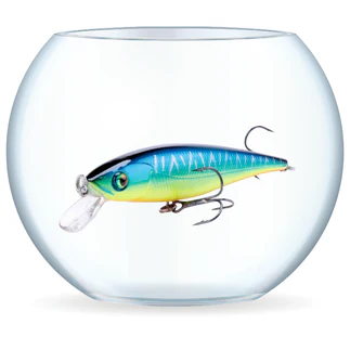 Minnow