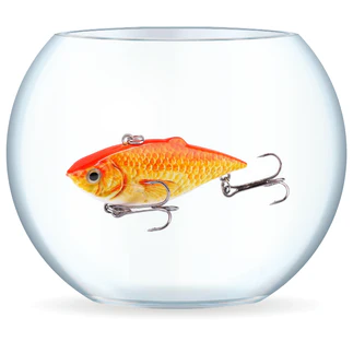 Fishing Baits