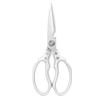 Stainless Steel Kitchen Scissors-USA Fish Bait