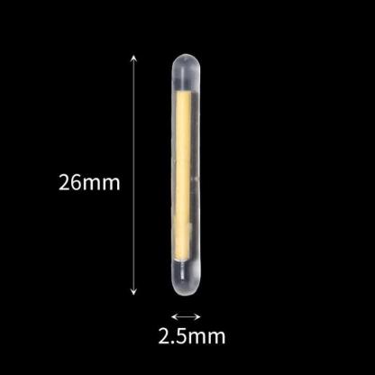 Light Night Fishing Float-USA Fish Bait