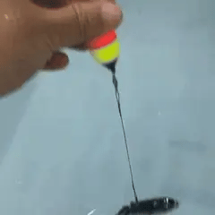 Big Common Fishing Roach - USA Fish Bait