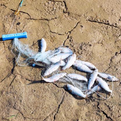 Multi Size Fishing Net Trap - USA Fish Bait