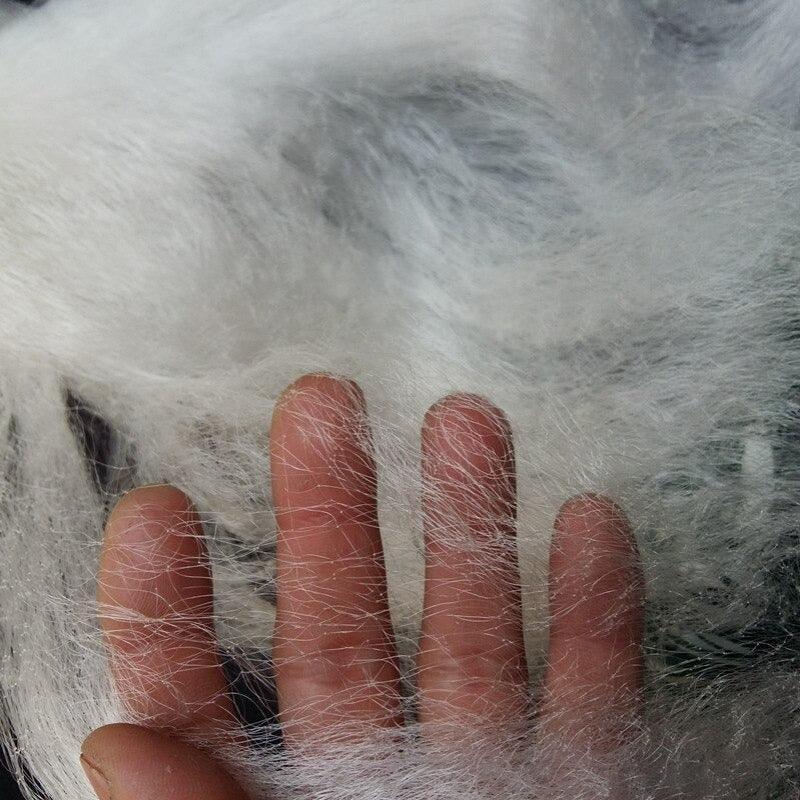 Single Mesh Fishing Net-USA Fish Bait