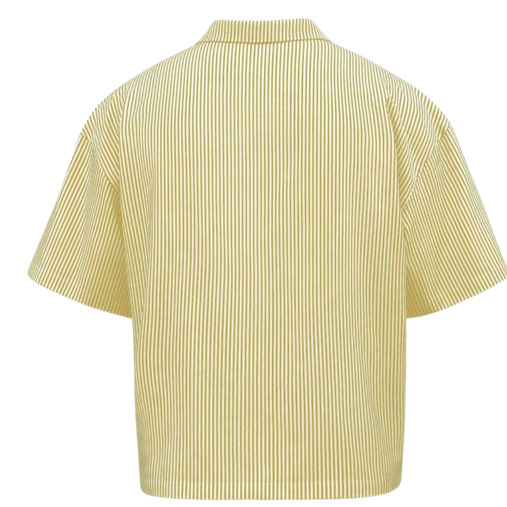 Striped Minimalist Casual Long Sleeve Button Up Shirt For Men