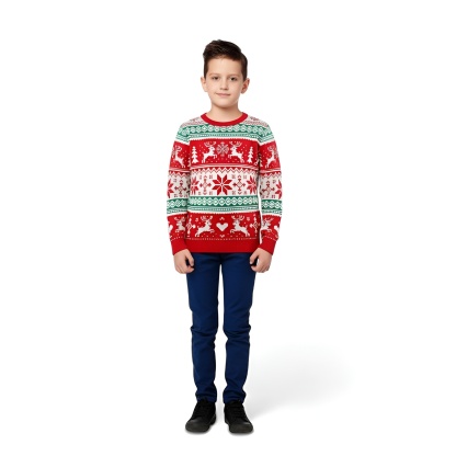 Christmas Sweater With Festive Winter Design