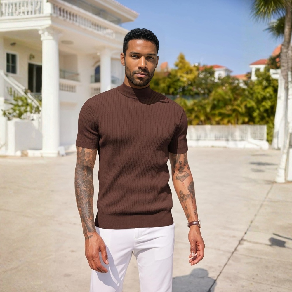 Men's Mock Turtleneck Sweater Short Sleeve Casual Basic Tops Ribbed Knit Pullover Solid Tee