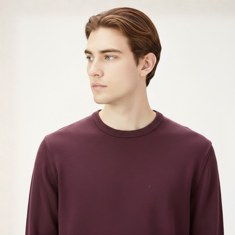 Men's Long-Sleeve Crewneck Sweater, 100% Cotton, Big & Tall Options Available