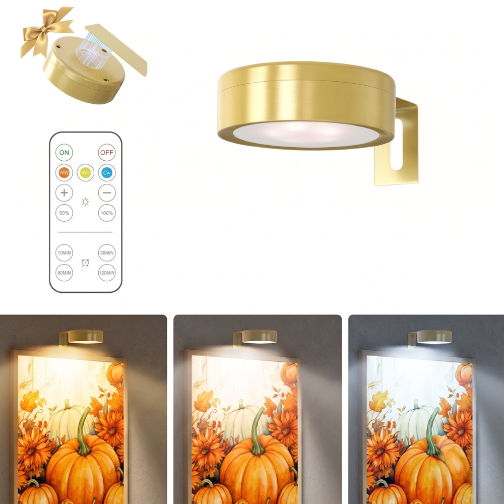 Rechargeable LED Magnetic Wall Lamp for Art Display