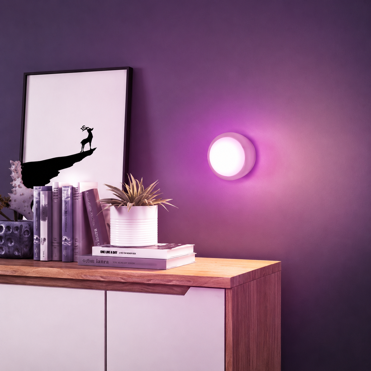 Magnetic LED Picture Lights For Cabinet Frame Art And Wall Room Decor
