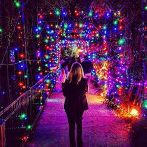 Solar Powered Fairy Lights 17M 100 Lights - Solar Flame Torch