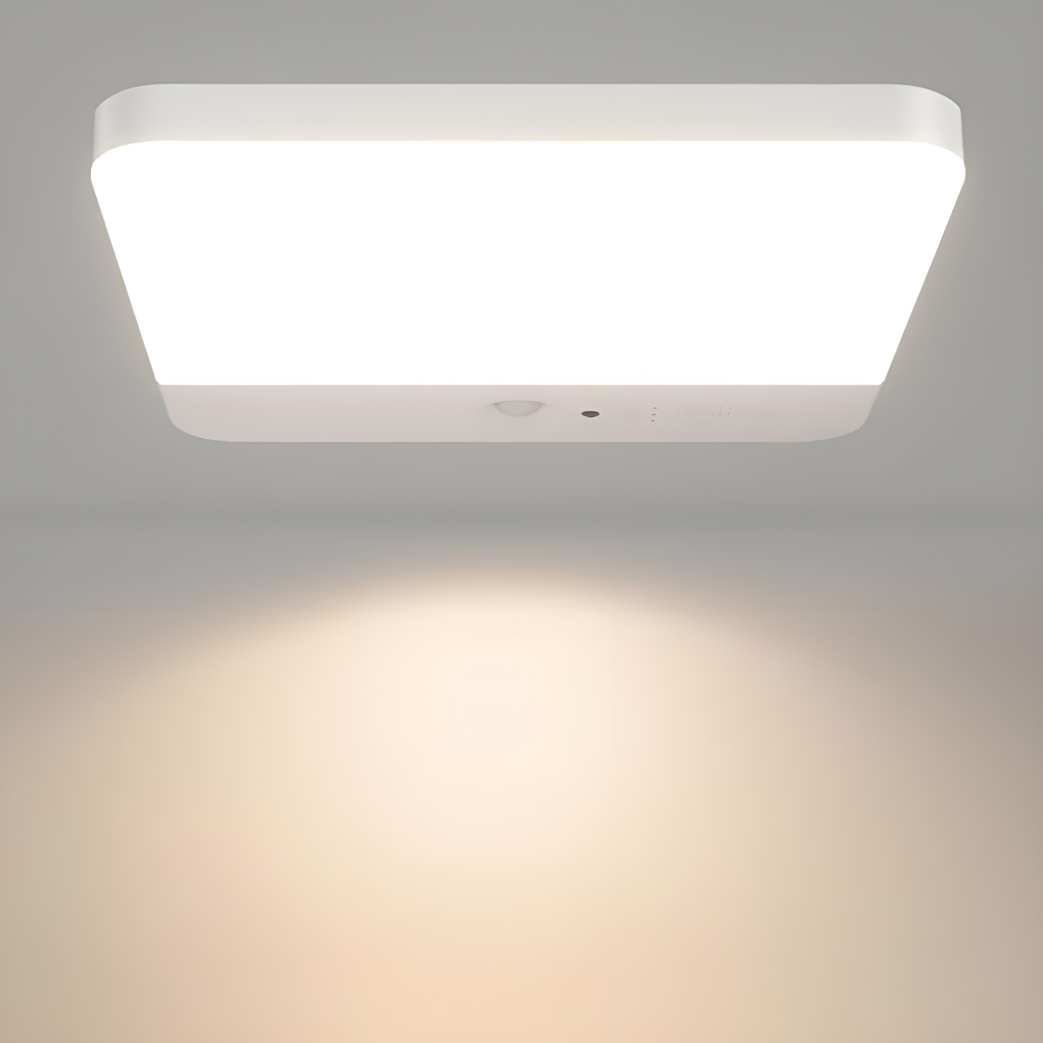 Motion Sensor Ceiling Light Fixture