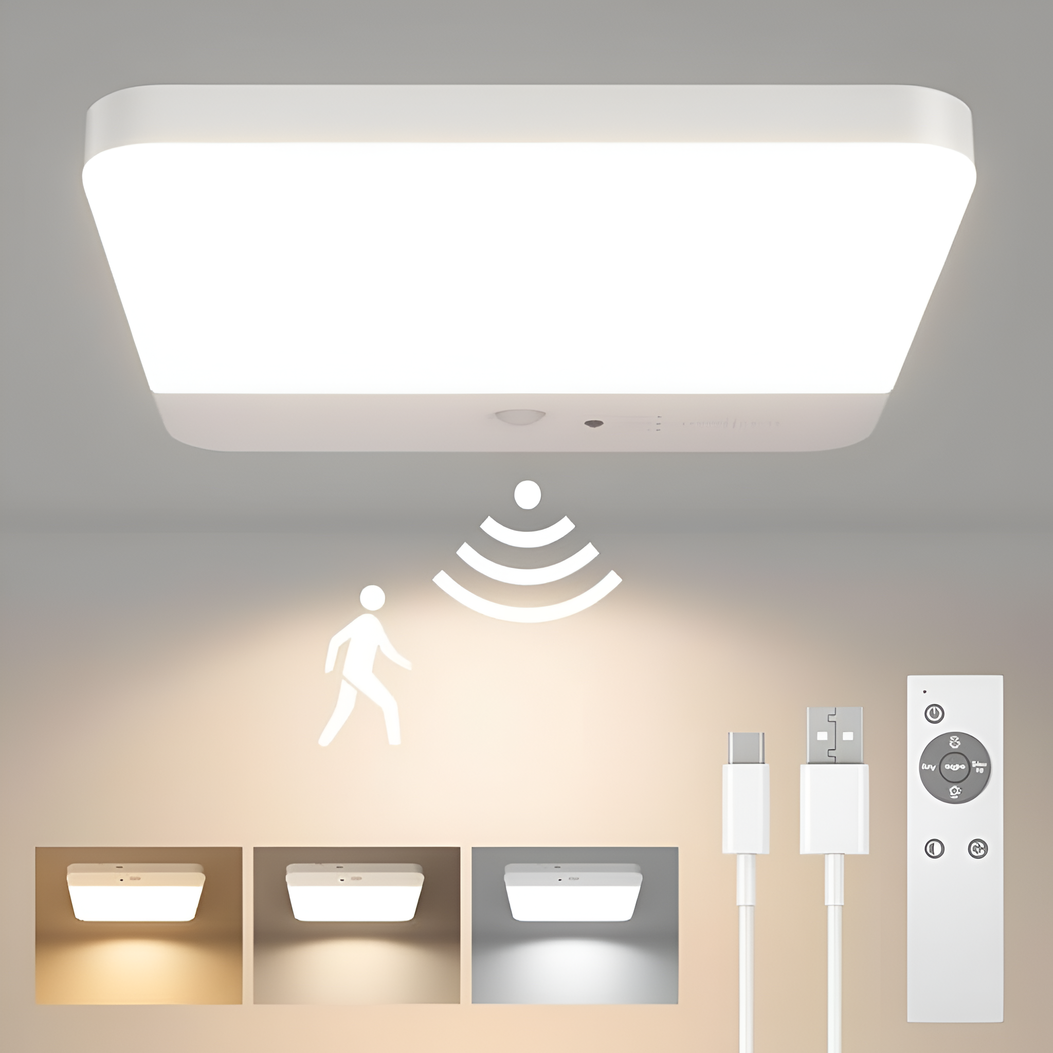 Motion Sensor Ceiling Light Fixture