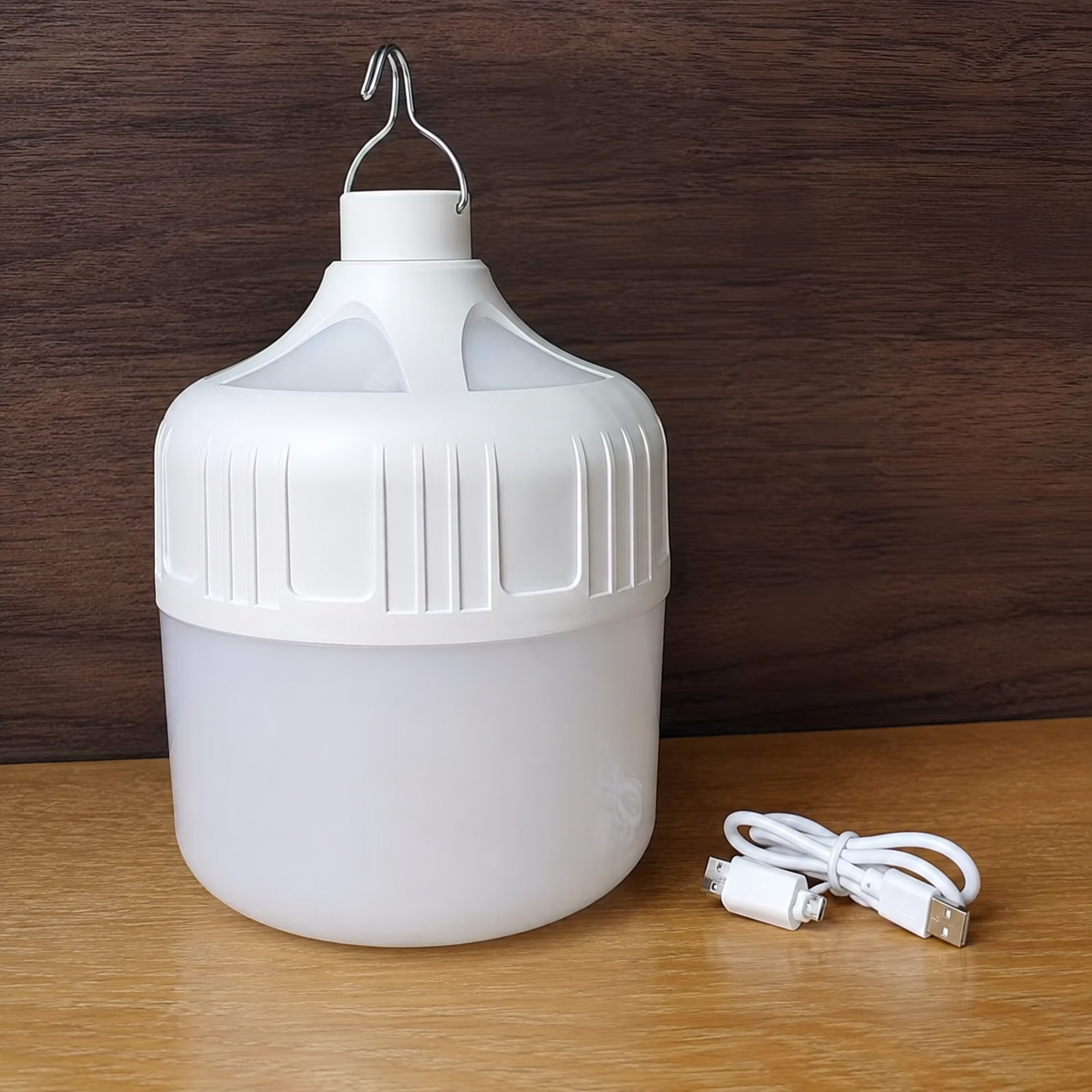One Piece Portable USB Rechargeable LED Bulb With Hanging Hook