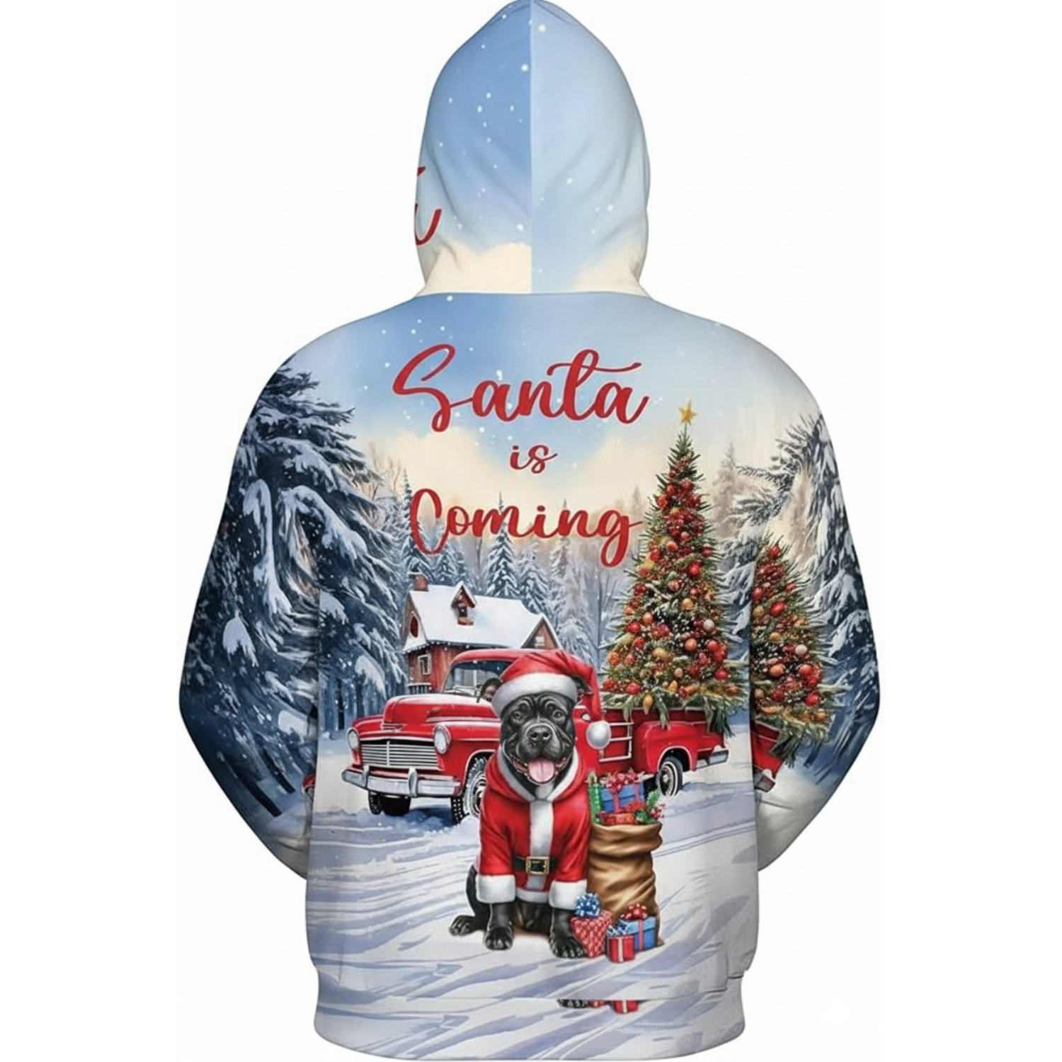Santa Christmas Hoodie
