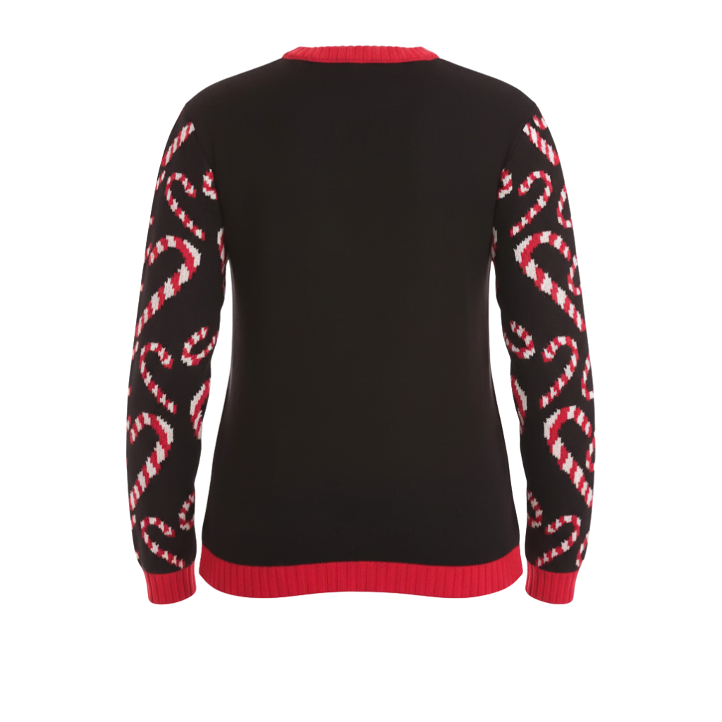 [Copy]Ugly Christmas Sweater For Women With Festive Winter Design