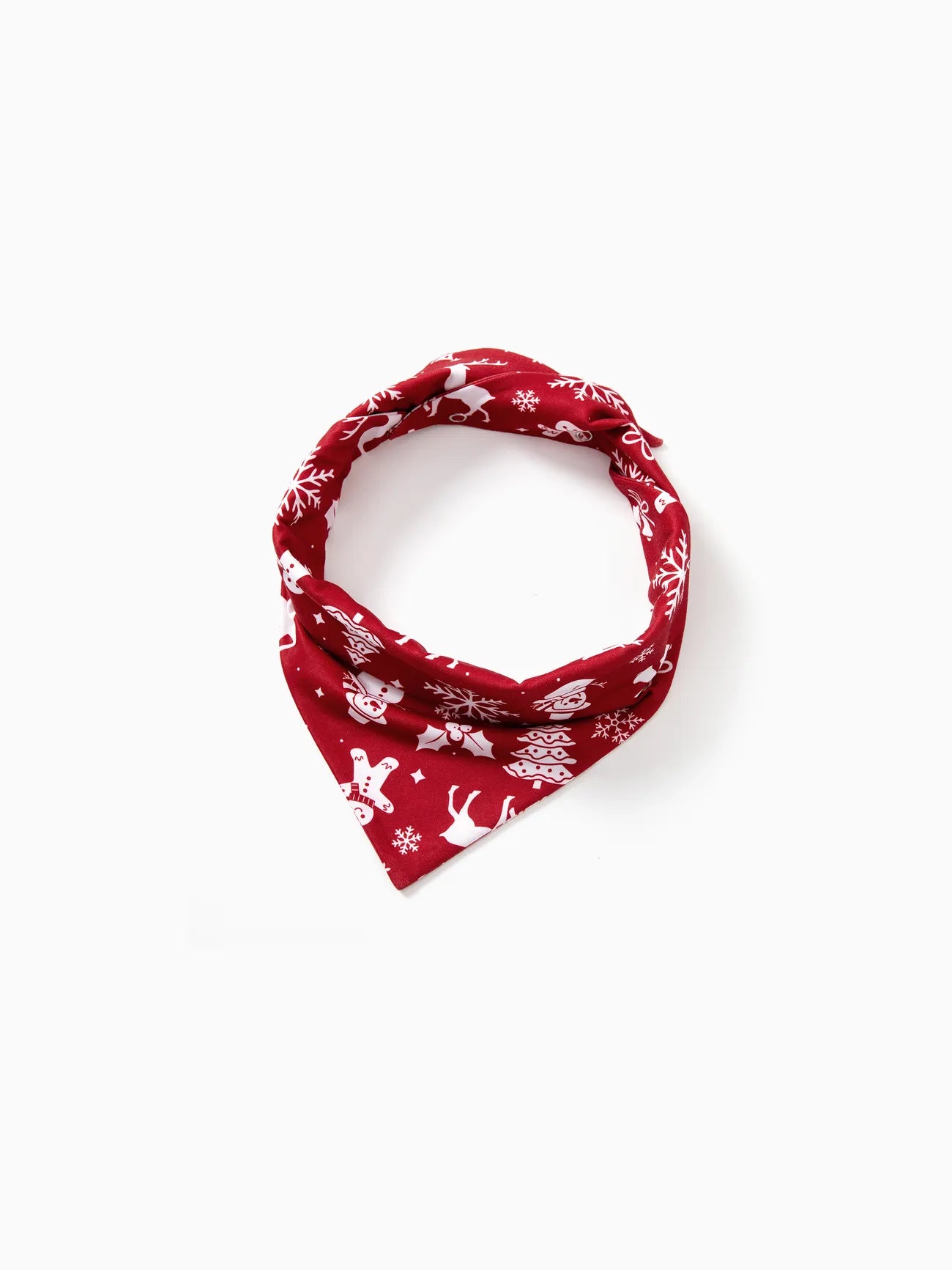 Believe In The Magic Of Santa Claus Printed Family Matching Pajama Set Pet S