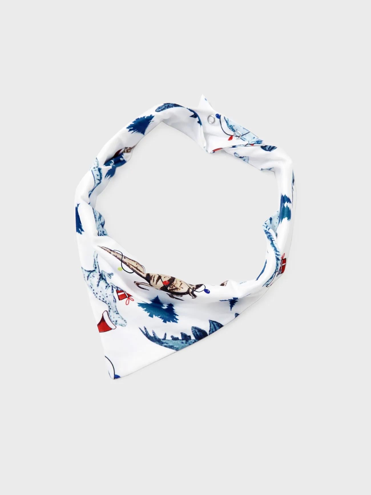 Matching Family Dinosaur Print Pajama Set With Button Detailing Pet S