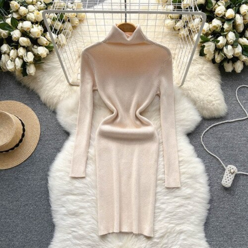 Long Sleeves Turtleneck Sheath Sweater Dress For Women-Soco Hoodie