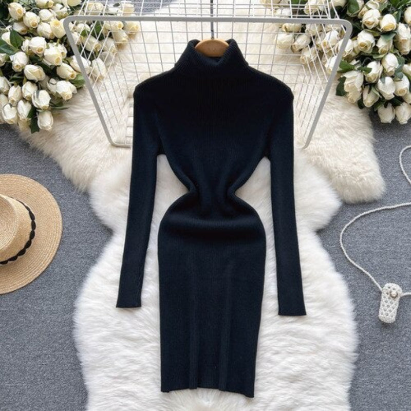 Long Sleeves Turtleneck Sheath Sweater Dress For Women-Soco Hoodie