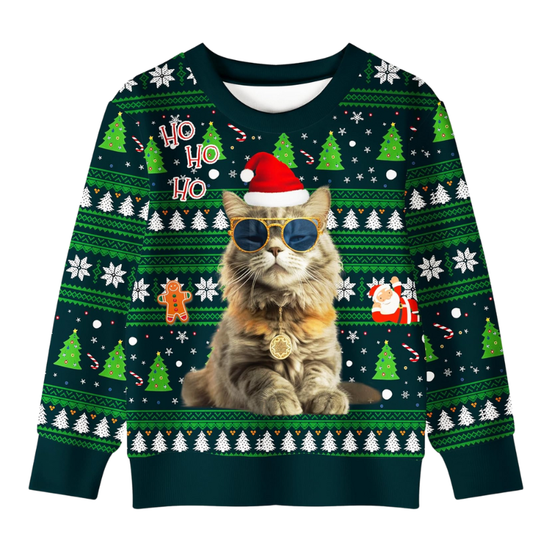 Cool Cat With Santa Hat Christmas Sweatshirt 6XL