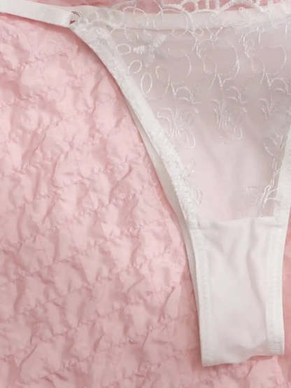 Sheer Mesh Embroidered Underwire Lingerie Set-Soco Hoodie