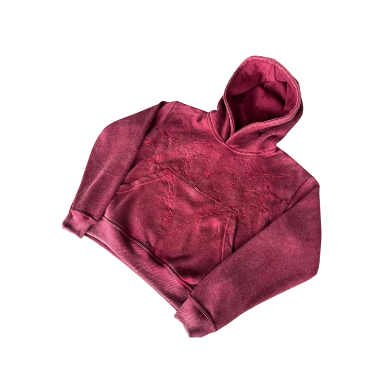 Hoodie With Abstract Embroidered Back Design Red