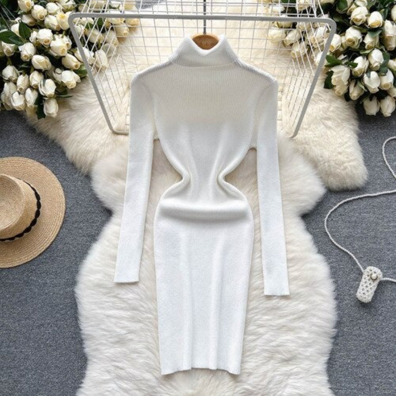 Long Sleeves Turtleneck Sheath Sweater Dress For Women-Soco Hoodie