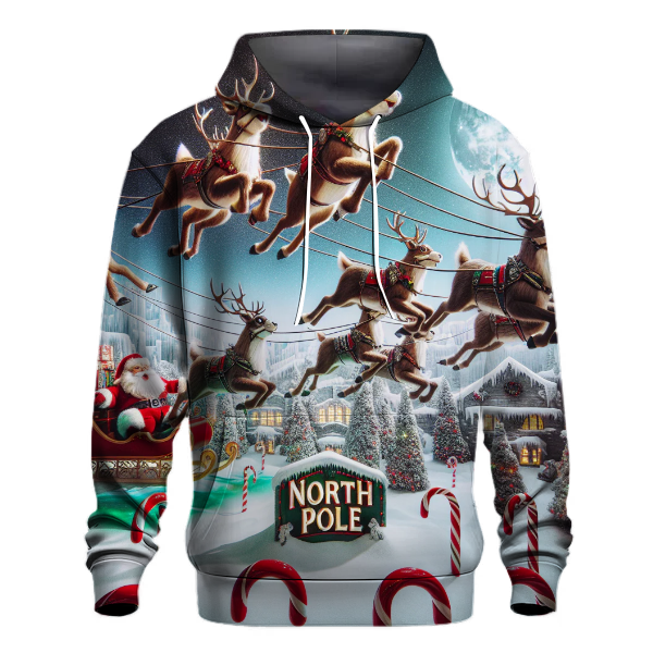Reindeer Flight Training Hoodie