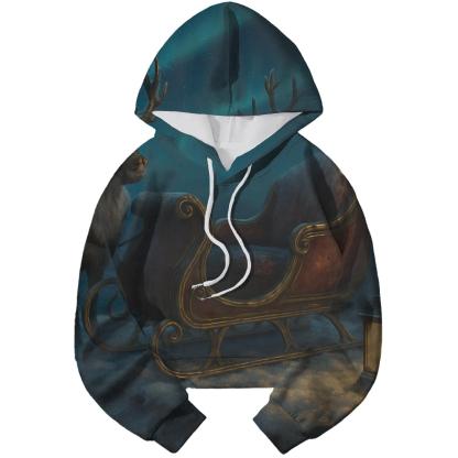 Starlit Sleigh On Snowy Rooftop embroidered hoodies