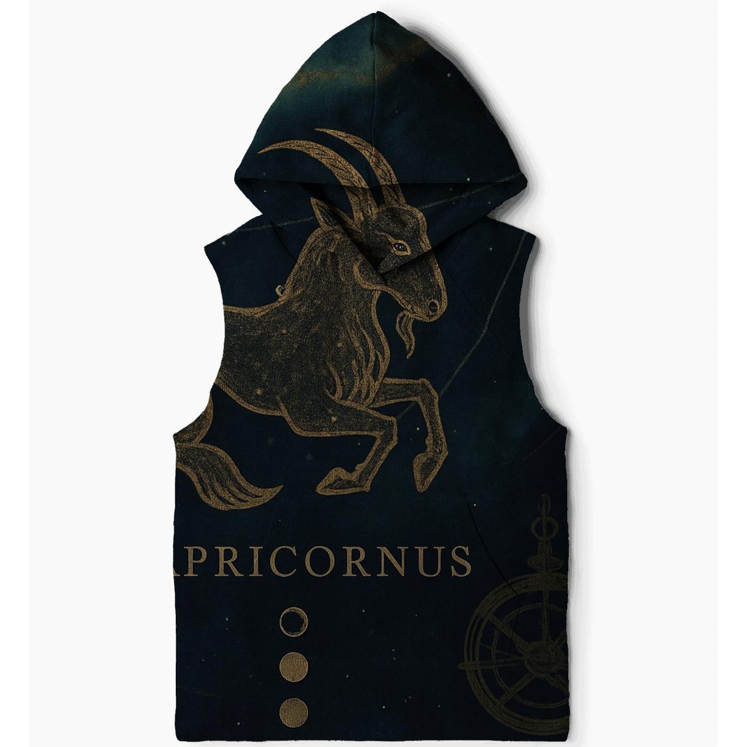 Aurora Capricorn Nebula Map heavyweight hoodies