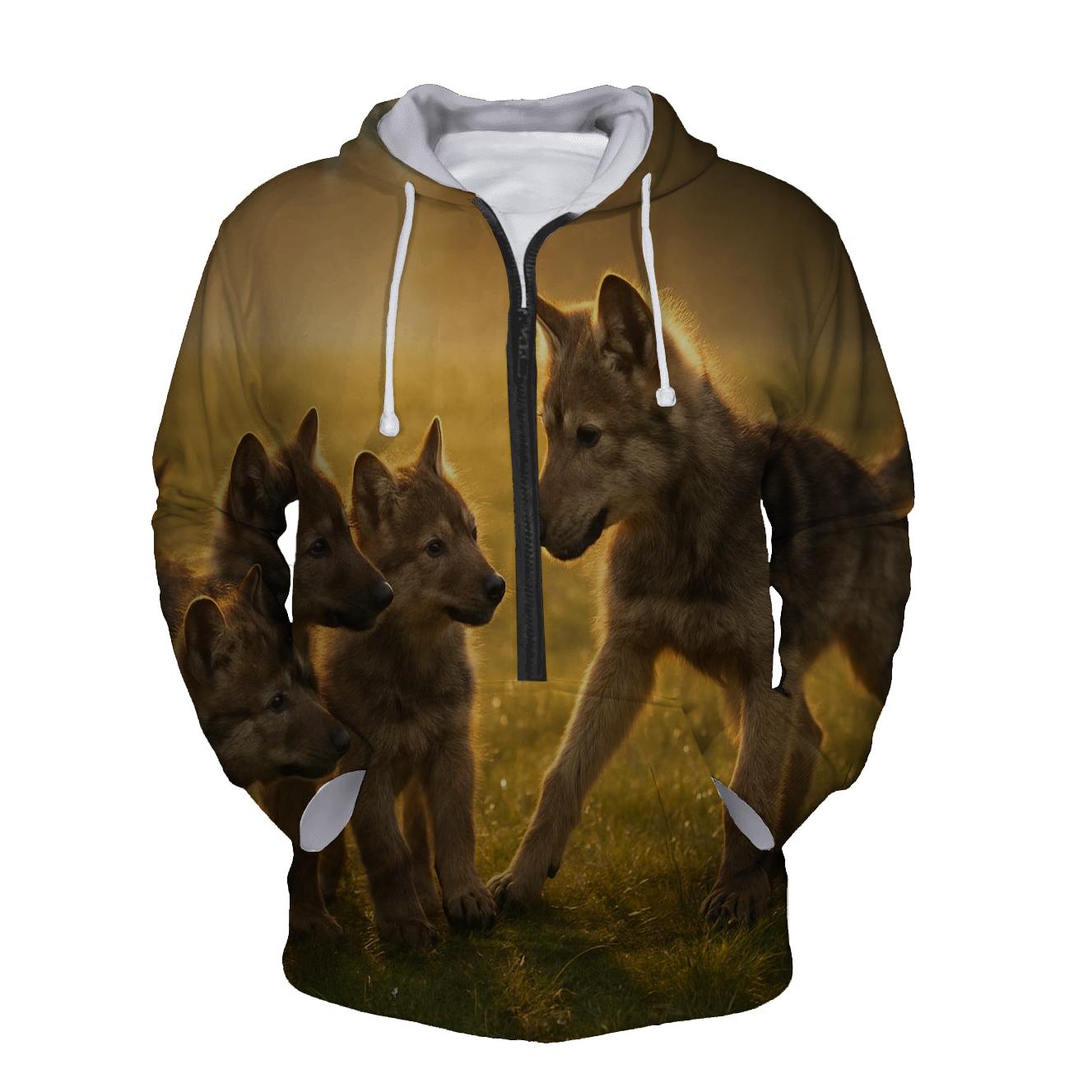 Pup Lesson At Sunrise pullover hoodies