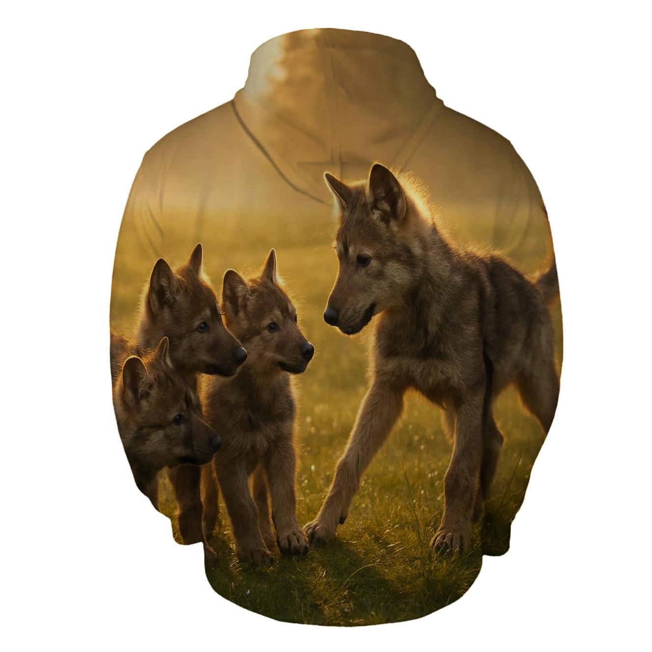 Pup Lesson At Sunrise pullover hoodies