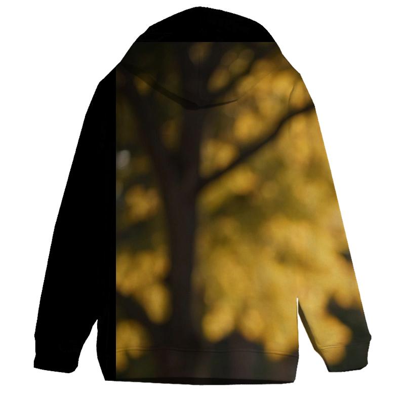 Campus Discussion At Sunset hoodie styles