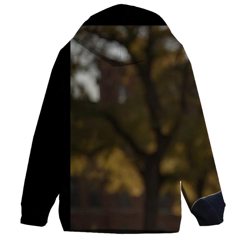 Campus Dialogue At Dawn embroidered hoodies