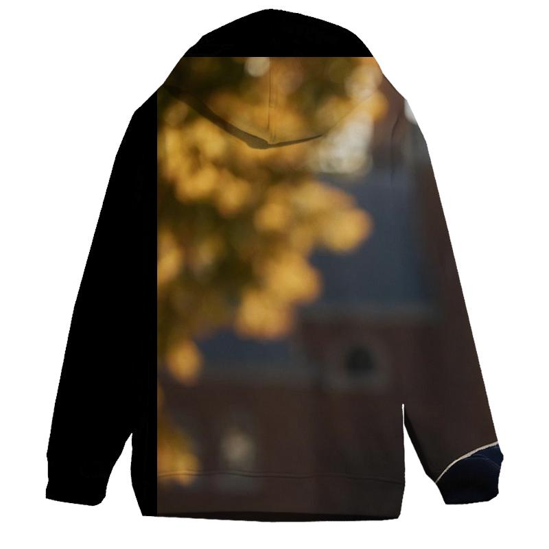 Campus Q A In Autumn Quad printed hoodies