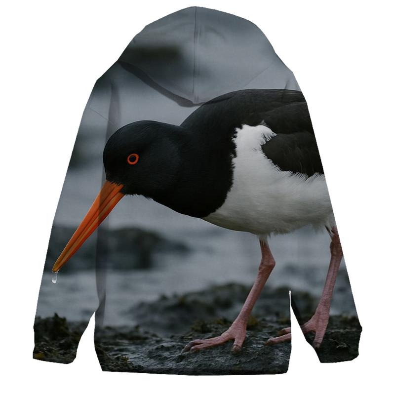 Tideline Stare — Intertidal Oystercatcher heavyweight hoodies