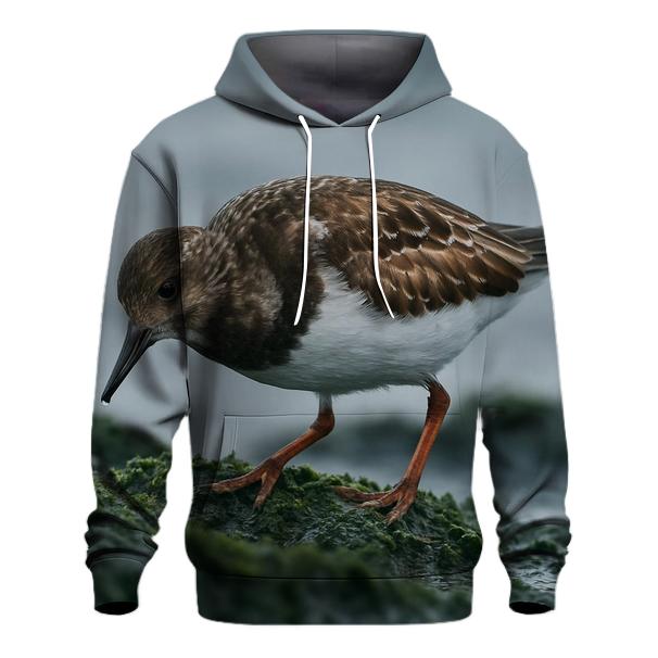 Tide-Edge Forager — Ruddy Turnstone designer hoodies