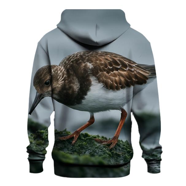 Tide-Edge Forager — Ruddy Turnstone designer hoodies
